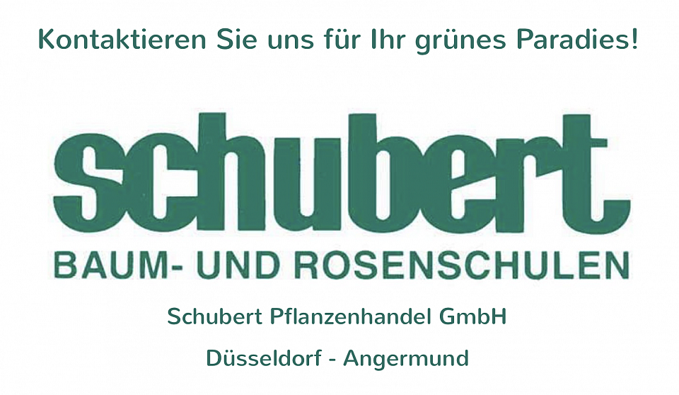 Schubert